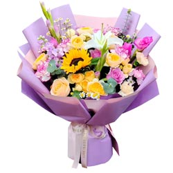 �����й����