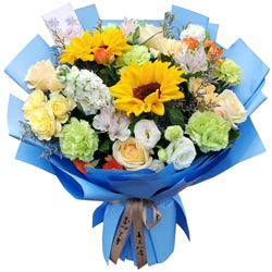 6������õ��2�����տ�����ܰ����һ�ݺ�����