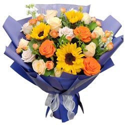 δ���ǳ���