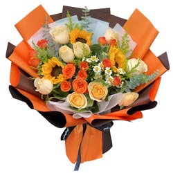 9������õ��3�����տ�����ǰ���Ķ���