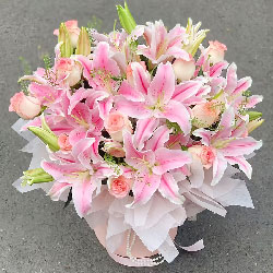 12�䰬ɯ��õ��6֧�ٺϣ��绨ѩ�½���