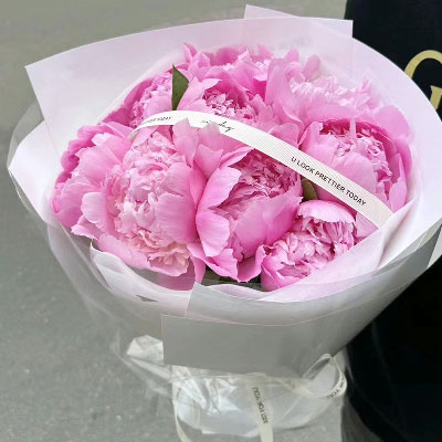 9���ɫ��ҩ�����Ļ���Ѥ��