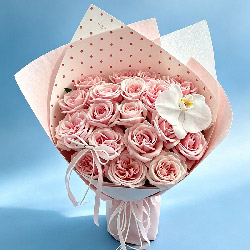 18����֦��õ��1֧��������һǻ���׷��