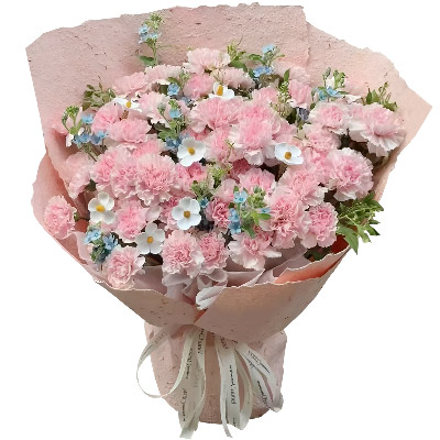 33���ɫ����ܰ��ƽ����������