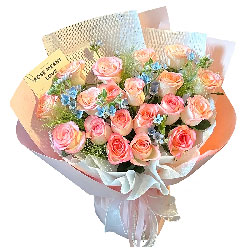 19�䰬ɯ��õ�壬�����ܹ�����