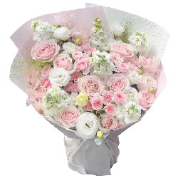 �మ�ļ��ֻ�