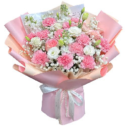 12���ɫ����ܰ��õ�壬�������ϲ��