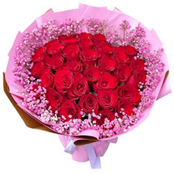 33���õ���ɫ�����ǣ�Ը�ս������
