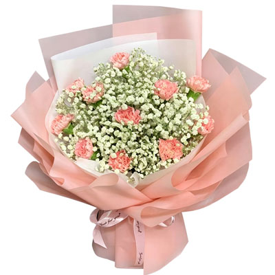 11���ɫ����ܰ���Ҹ���������
