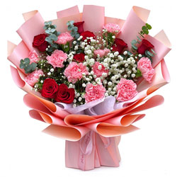 11���ɫ����ܰ8���õ�壬�Լ���С�Ҹ�